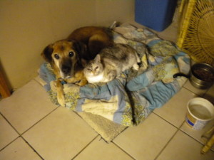 Talli with Spot, a dog she loved